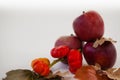 Close-up of red apples and Surinam cherry with autumn leaves Royalty Free Stock Photo