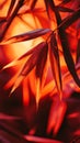 Close-up of red bamboo leaves with sunlight Royalty Free Stock Photo