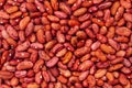 close up of red bean background Royalty Free Stock Photo