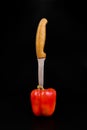 Close-Up Of Red Bell Pepper on a knife edge Over Black Background Royalty Free Stock Photo