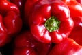 Close-up red bell peppers background with copy space. Royalty Free Stock Photo