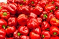 Close up of red bell peppers Royalty Free Stock Photo