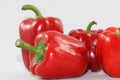 Close up of red bell peppers on white background Royalty Free Stock Photo