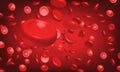 Close up red blood cells in the veins background Royalty Free Stock Photo