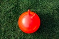 close up of red bouncing ball or hoppers on grass