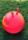 close up of red bouncing ball or hoppers on grass