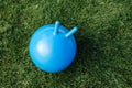 close up of red bouncing ball or hoppers on grass