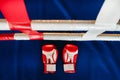 Close-up of red boxing gloves on the floor of a blue boxing ring Royalty Free Stock Photo