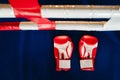 Close-up of red boxing gloves on the floor of a blue boxing ring Royalty Free Stock Photo