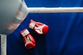 Close-up of red boxing gloves on the floor of a blue boxing ring Royalty Free Stock Photo