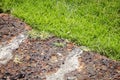 Close up red brick road and grass Royalty Free Stock Photo