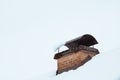 Close up on red bricked chimney on snowy rooftop