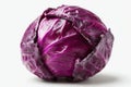 A close up of a red cabbage on a white background Royalty Free Stock Photo