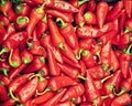 Close-up of red chili peppers