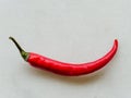 Close-up of a red chilli pepper isolated on off-white background Royalty Free Stock Photo