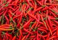 Close up of Red Chillies Background,Selective focus.