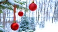 Close-up of red Christmas Baubles Balls hanging on snow covered pine tree branches outside Royalty Free Stock Photo