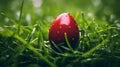 Close up of a red colored Easter Egg with Water Drops in the Grass. Blurred natural Background Royalty Free Stock Photo