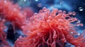 A close-up of Red Coral polyps swaying gently in crystal-clear waters