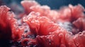 A close-up of Red Coral polyps swaying gently in crystal-clear waters,