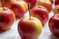 Close up of red crab apples in rows