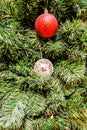 Closeup of Red and crystal Christmas-tree decorations Royalty Free Stock Photo