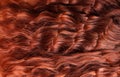 Close-up of red curly hair