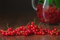 Close up with red currants berries with glass jug Royalty Free Stock Photo