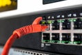 Close up of red ethernet cable plugged into network switch, showing wired internet connection and IT networking equipment Royalty Free Stock Photo