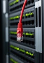 Close Up Of A Red Ethernet Network Cable Hanging In Front Of Blurred Server Rack Royalty Free Stock Photo