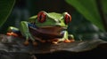 Close up of a red eyed tree frog. Generative AI