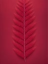 Close-up of a red fern leaf on a red background Royalty Free Stock Photo