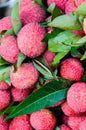 Close-up of red fresh Lychee fruits