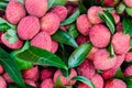 Close-up of red fresh Lychee fruits