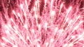 Close-up red and gold festive fireworks on a black background. Blur. Independence Day, 4th of July, New Year holidays salute Royalty Free Stock Photo