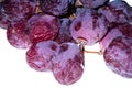 Close up a red grape are withered Royalty Free Stock Photo