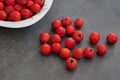 Close-up of red hawthorn fruit on black background Royalty Free Stock Photo