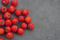 Close-up of red hawthorn fruit on black background Royalty Free Stock Photo