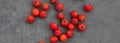 Close-up of red hawthorn fruit on black background Royalty Free Stock Photo