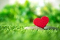 Close up red heart shape on green fresh grass , good relax and love romance feeling symbol , valentines day background Royalty Free Stock Photo