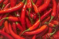 Close up of red hot chili peppers texture background, copy space Royalty Free Stock Photo