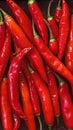 Close up of red hot chili peppers texture background, copy space Royalty Free Stock Photo