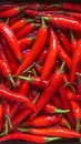 Close up of red hot chili peppers texture background, copy space Royalty Free Stock Photo