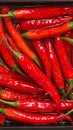 Close up of red hot chili peppers texture background, copy space Royalty Free Stock Photo