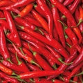 Close up of red hot chili peppers texture background, copy space Royalty Free Stock Photo