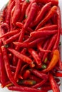 Close up of red hot chilli Royalty Free Stock Photo