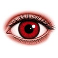 Close Up Of A Red Human Eye With Long Eyelashes Royalty Free Stock Photo