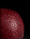 Close-up of Red juicy Apple with drops of water on a Black Background Royalty Free Stock Photo