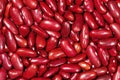 Close up red kidney bean texture background