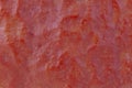 close up of red kuri squash skin texture